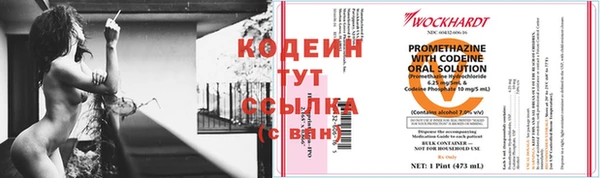 ECSTASY Белокуриха