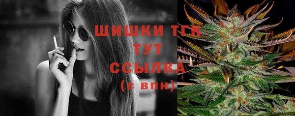 ECSTASY Белокуриха