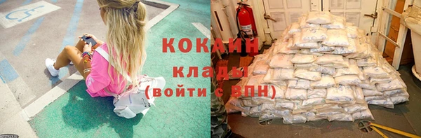 ECSTASY Белокуриха