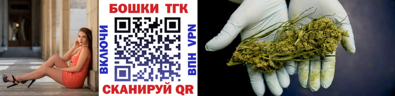Шишки марихуана планчик  наркота  Шилка 